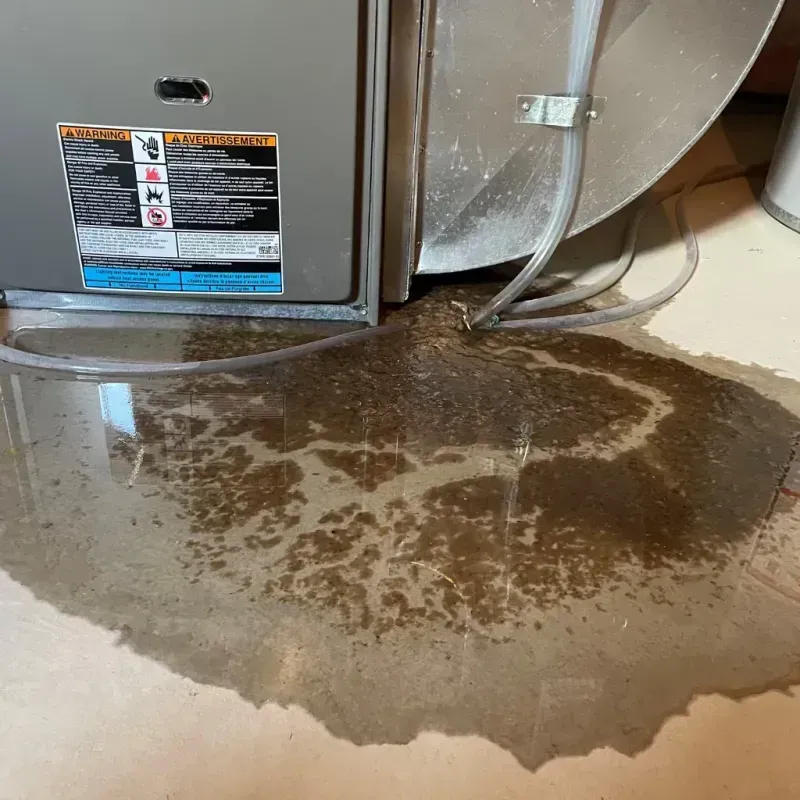 Appliance Leak Cleanup in Tigard, OR